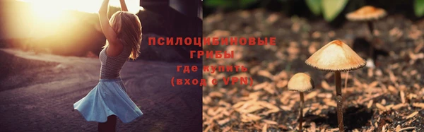 ешки Верея